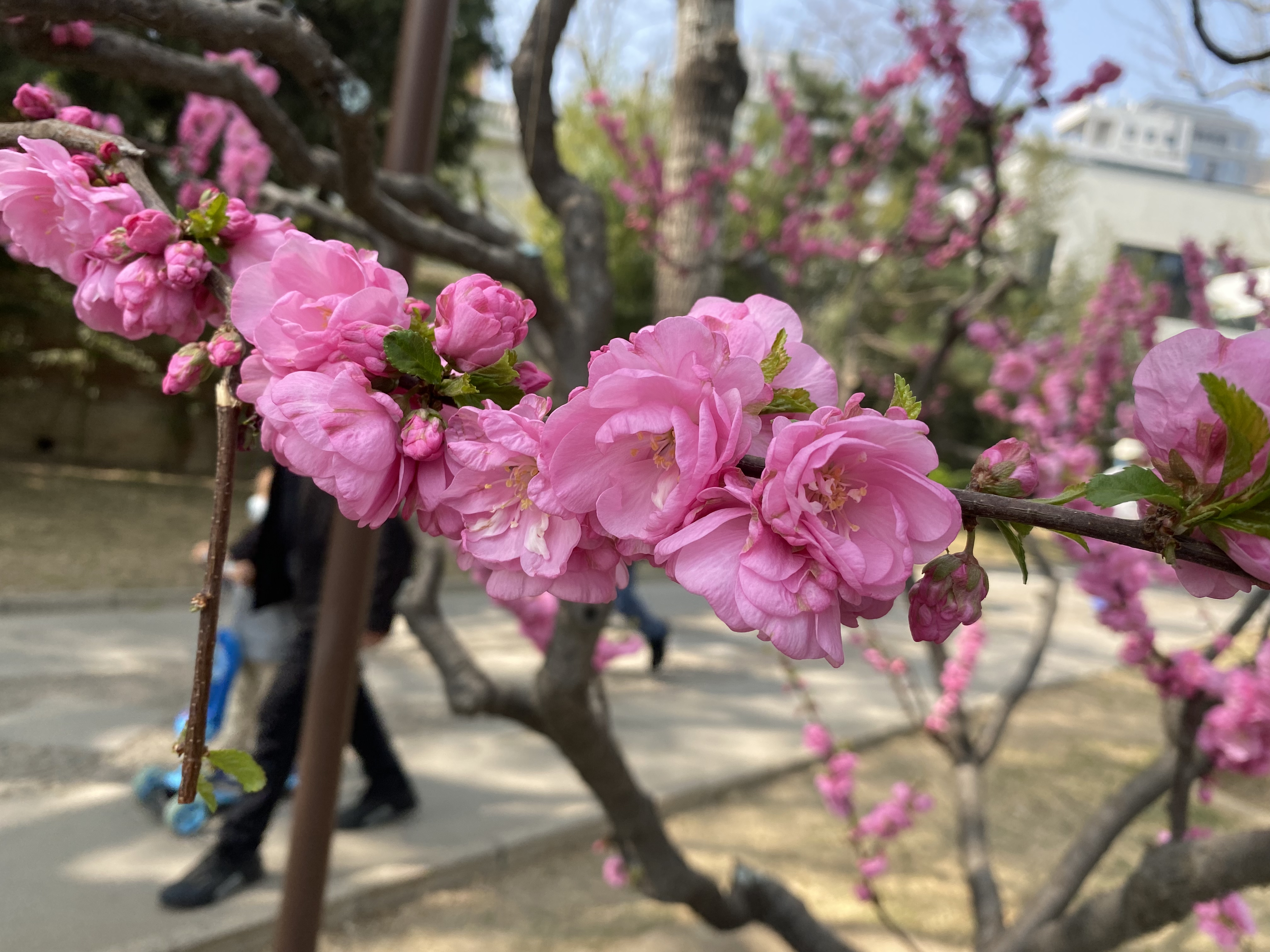 2023年3月29日-日记