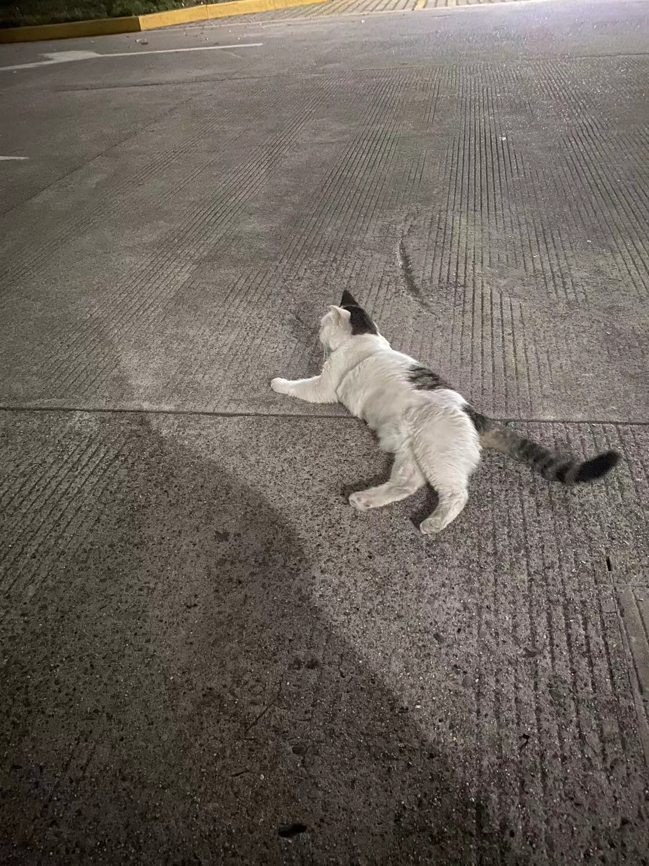 熙攘